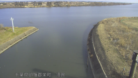 tonsu2026020209_image