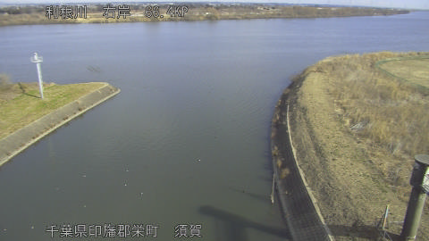 tonsu2026020210_image