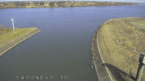 tonsu2026020212_image