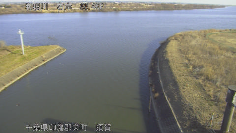 tonsu2026020409_image