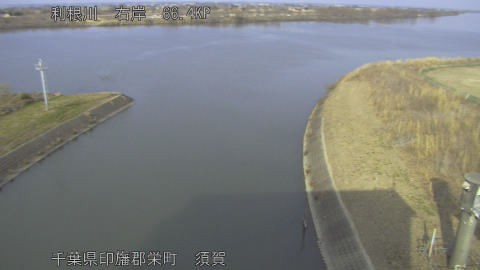 tonsu2026020515_image