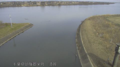 tonsu2026020612_image