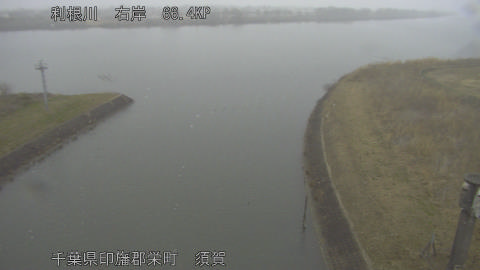 tonsu2026020712_image