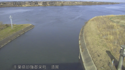 tonsu2026021014_image