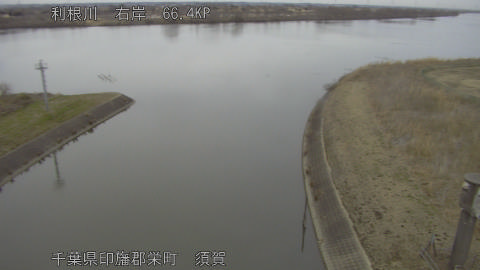 tonsu2026021017_image