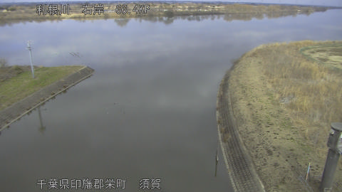 tonsu2026021213_image