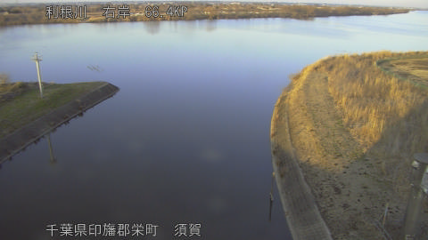 tonsu2026021217_image