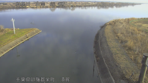 tonsu2026021308_image