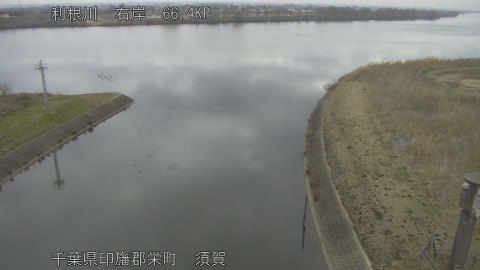 tonsu2026021310_image