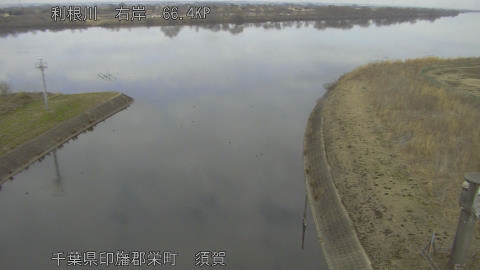 tonsu2026021312_image