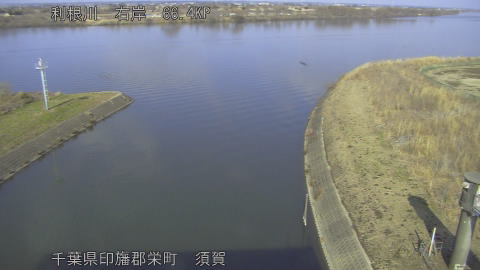 tonsu2026021314_image