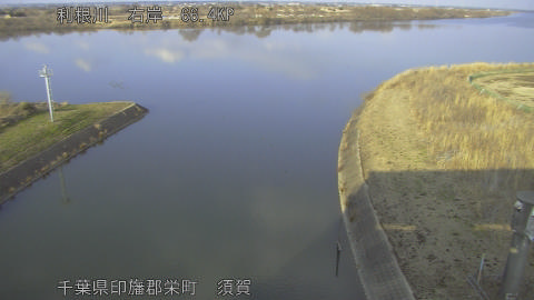 tonsu2026021316_image