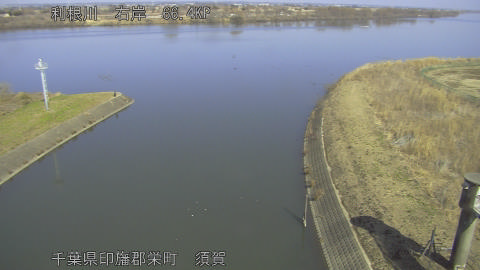 tonsu2026021412_image