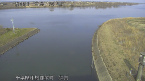 tonsu2026021414_image