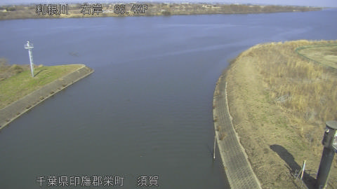 tonsu2026021513_image