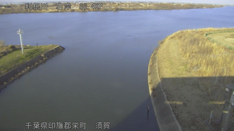 tonsu2026021516_image