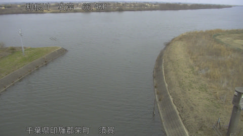 tonsu2026021612_image