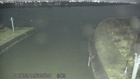 tonsu2026021700_image