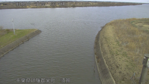 tonsu2026021712_image