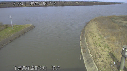 tonsu2026021714_image