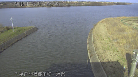 tonsu2026021715_image