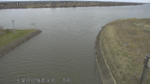 tonsu2026021716_image