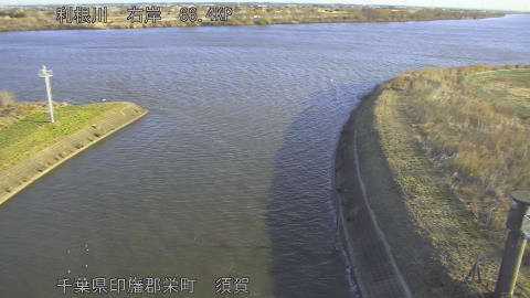 tonsu2026021908_image