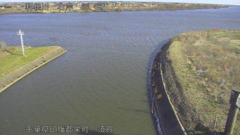 tonsu2026021909_image