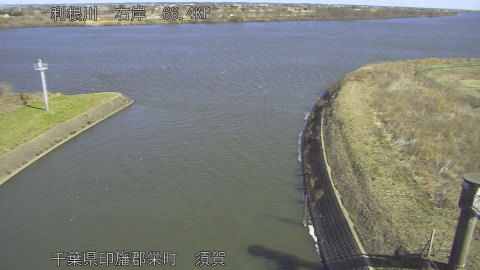 tonsu2026021910_image