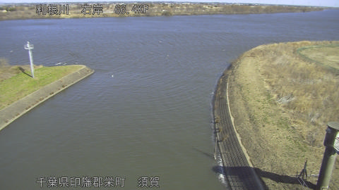 tonsu2026021911_image