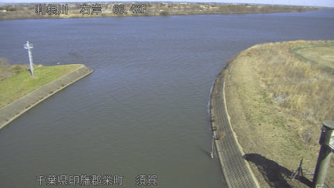 tonsu2026021912_image