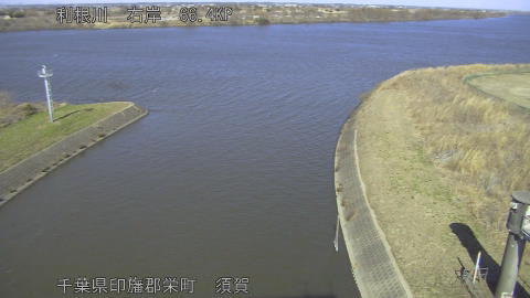 tonsu2026021914_image