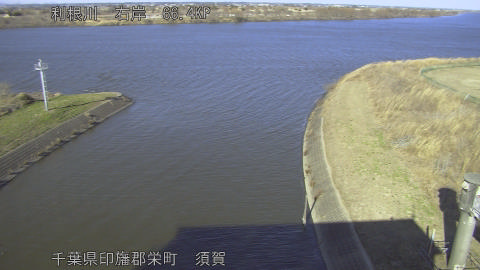 tonsu2026021915_image