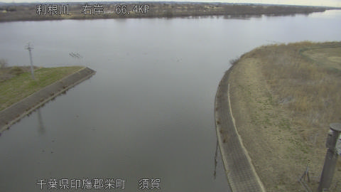 tonsu2026022008_image