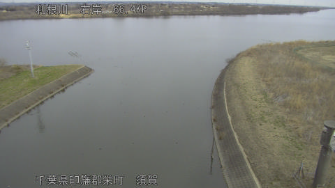 tonsu2026022009_image