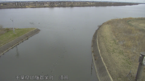 tonsu2026022010_image