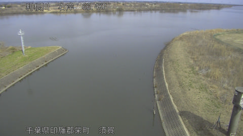 tonsu2026022012_image