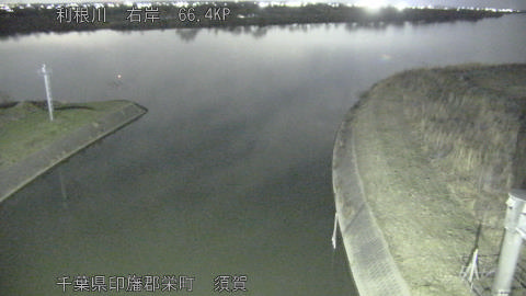 tonsu2026022019_image