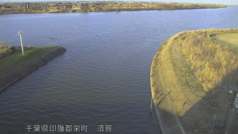 tonsu2026022117_image