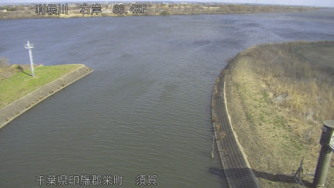 tonsu2026022311_image