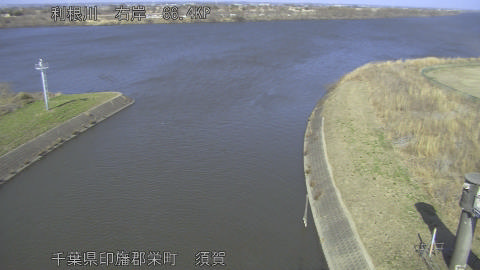 tonsu2026022314_image