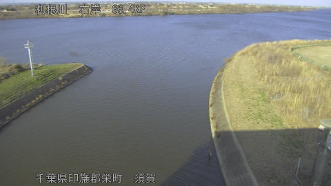 tonsu2026022316_image