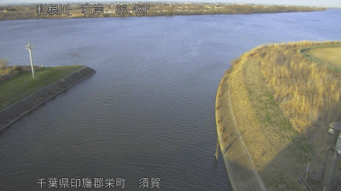 tonsu2026022317_image