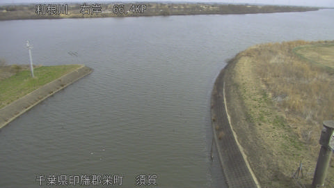 tonsu2026022409_image