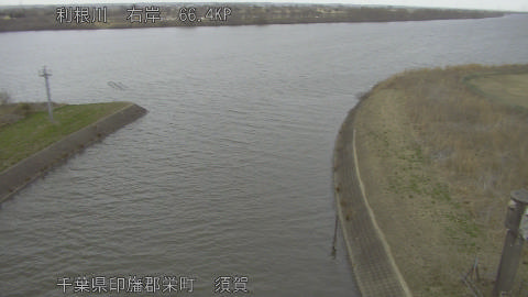 tonsu2026022416_image