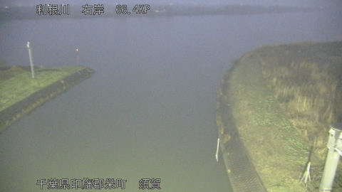 tonsu2026022506_image