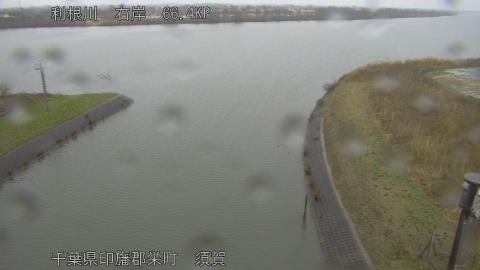 tonsu2026022509_image