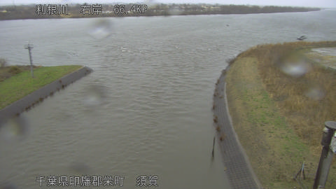 tonsu2026022512_image