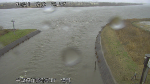 tonsu2026022515_image