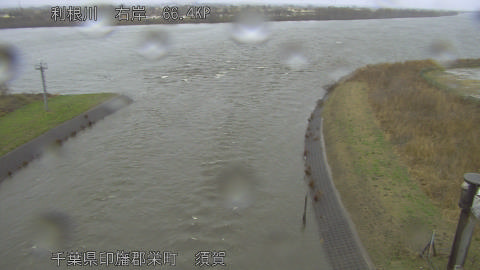 tonsu2026022516_image